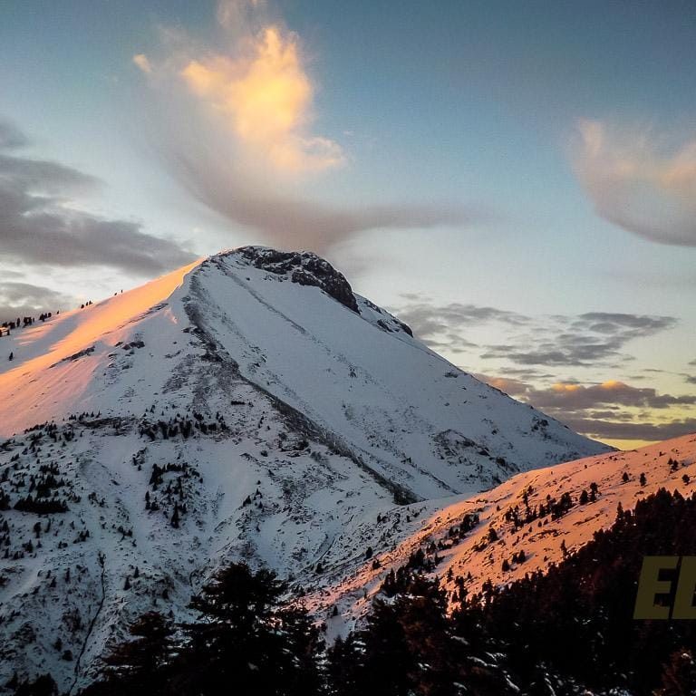 EDplus-Generic-19